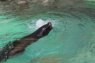 Květnový výlet do ZOO Liberec