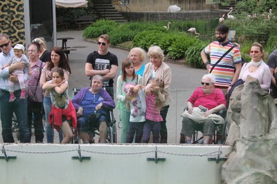 Květnový výlet do ZOO Liberec