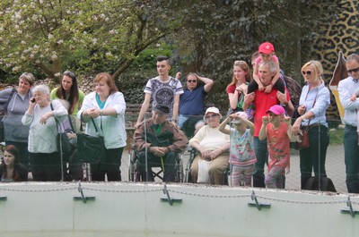 Květnový výlet do ZOO Liberec
