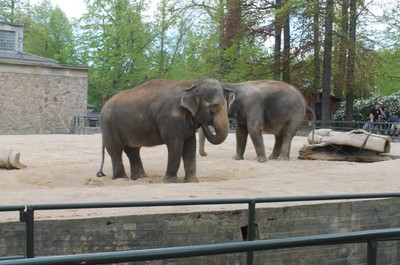 Květnový výlet do ZOO Liberec