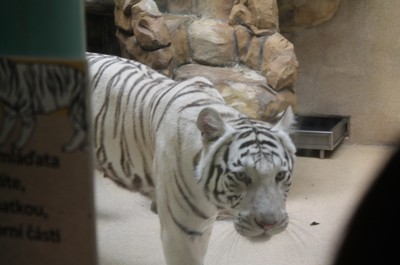 Květnový výlet do ZOO Liberec