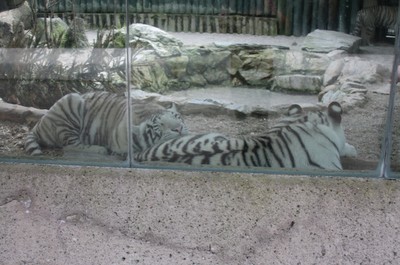 ZOO Liberec