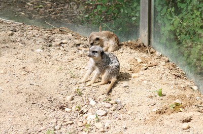 ZOO Liberec