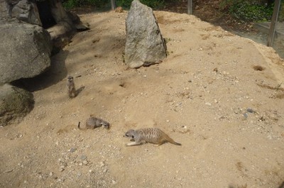 ZOO Liberec
