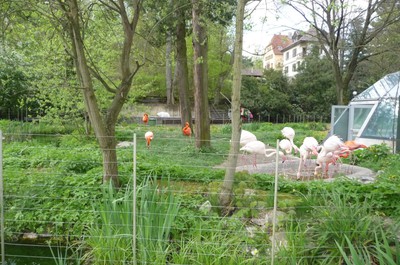 ZOO Liberec