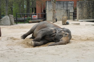 ZOO Liberec
