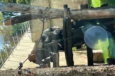 Výlet do Zoo ve Dvoře Králové