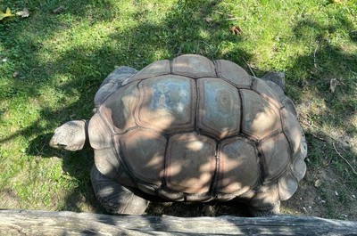 Výlet do Zoo ve Dvoře Králové