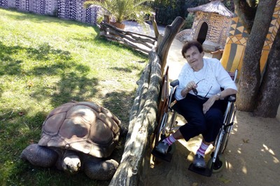 Výlet do Zoo ve Dvoře Králové