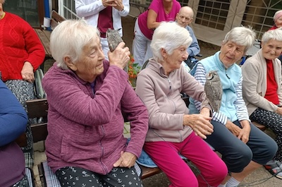 Sociální služby Semily, příspěvková organizace - Soví návštěva