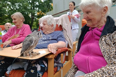 Sociální služby Semily, příspěvková organizace - Soví návštěva