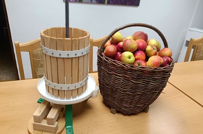 Střípky z domova
