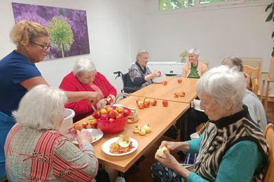 Sociální služby Semily, příspěvková organizace - Střípky z domova