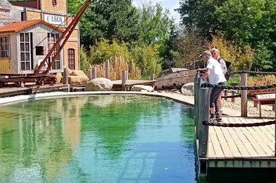 Výlet do ZOO Dvůr Králové