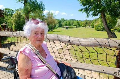 Výlet do ZOO Dvůr Králové
